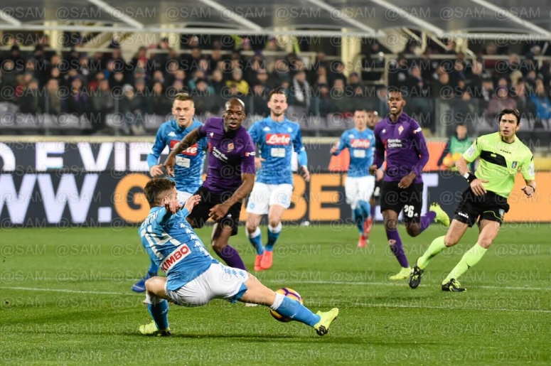 Fiorentina-Napoli 2018-2019